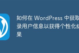 如何在 WordPress 中获取登录用户信息以获得个性化结果