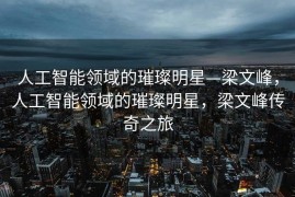 人工智能领域的璀璨明星—梁文峰，人工智能领域的璀璨明星，梁文峰传奇之旅