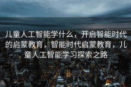 儿童人工智能学什么，开启智能时代的启蒙教育，智能时代启蒙教育，儿童人工智能学习探索之路