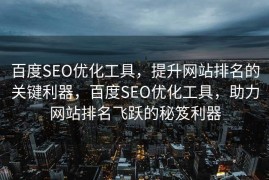 百度SEO优化工具，提升网站排名的关键利器，百度SEO优化工具，助力网站排名飞跃的秘笈利器