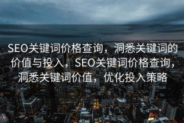 SEO关键词价格查询，洞悉关键词的价值与投入，SEO关键词价格查询，洞悉关键词价值，优化投入策略