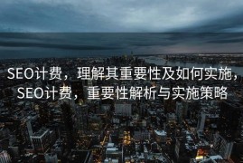SEO计费，理解其重要性及如何实施，SEO计费，重要性解析与实施策略
