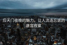 应天门夜晚的魅力，让人流连忘返的唐宫夜宴