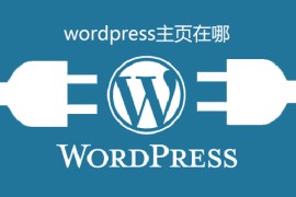 wordpress主页在哪