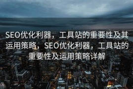 SEO优化利器，工具站的重要性及其运用策略，SEO优化利器，工具站的重要性及运用策略详解