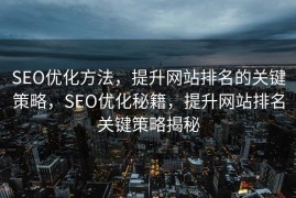 SEO优化方法，提升网站排名的关键策略，SEO优化秘籍，提升网站排名关键策略揭秘