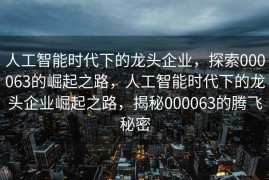 人工智能时代下的龙头企业，探索000063的崛起之路，人工智能时代下的龙头企业崛起之路，揭秘000063的腾飞秘密