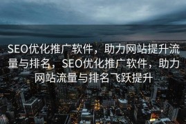 SEO优化推广软件，助力网站提升流量与排名，SEO优化推广软件，助力网站流量与排名飞跃提升
