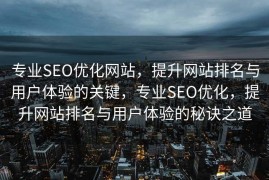 专业SEO优化网站，提升网站排名与用户体验的关键，专业SEO优化，提升网站排名与用户体验的秘诀之道