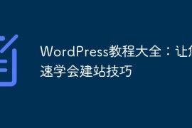 WordPress教程大全：让您快速学会建站技巧