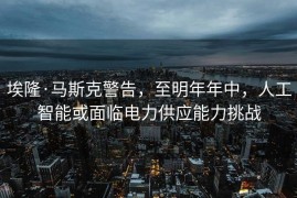 埃隆·马斯克警告，至明年年中，人工智能或面临电力供应能力挑战