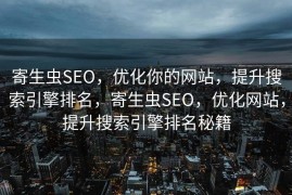 寄生虫SEO，优化你的网站，提升搜索引擎排名，寄生虫SEO，优化网站，提升搜索引擎排名秘籍