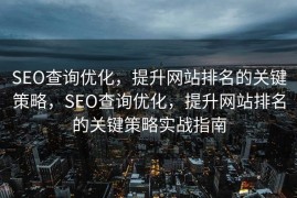 SEO查询优化，提升网站排名的关键策略，SEO查询优化，提升网站排名的关键策略实战指南