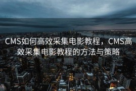 CMS如何高效采集电影教程，CMS高效采集电影教程的方法与策略