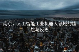 南京，人工智能工业机器人领域的尴尬与反思