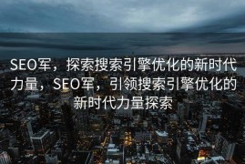 SEO军，探索搜索引擎优化的新时代力量，SEO军，引领搜索引擎优化的新时代力量探索