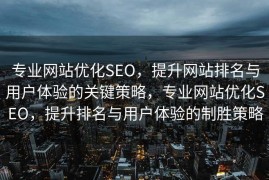 专业网站优化SEO，提升网站排名与用户体验的关键策略，专业网站优化SEO，提升排名与用户体验的制胜策略