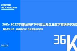 36氪研究院：2022年隐私保护下中国出海企业数字营销研究报告-2025最新seo资料
