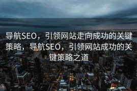 导航SEO，引领网站走向成功的关键策略，导航SEO，引领网站成功的关键策略之道