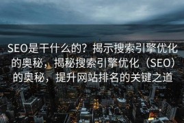 SEO是干什么的？揭示搜索引擎优化的奥秘，揭秘搜索引擎优化（SEO）的奥秘，提升网站排名的关键之道