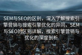 SEM与SEO的区别，深入了解搜索引擎营销与搜索引擎优化的异同，SEM与SEO的区别详解，搜索引擎营销与优化的深度剖析