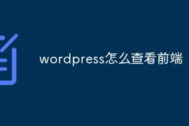 wordpress怎么查看前端