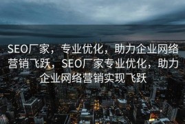 SEO厂家，专业优化，助力企业网络营销飞跃，SEO厂家专业优化，助力企业网络营销实现飞跃