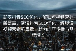 武汉抖音SEO优化，解锁短视频营销新篇章，武汉抖音SEO优化，解锁短视频营销新篇章，助力内容传播与品牌增长