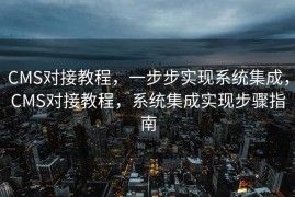 CMS对接教程，一步步实现系统集成，CMS对接教程，系统集成实现步骤指南