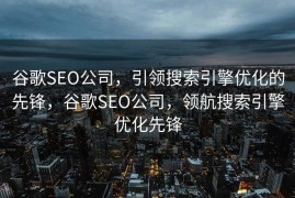 谷歌SEO公司，引领搜索引擎优化的先锋，谷歌SEO公司，领航搜索引擎优化先锋
