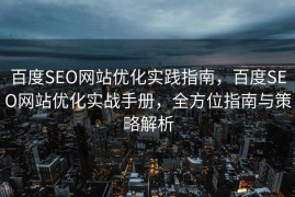 百度SEO网站优化实践指南，百度SEO网站优化实战手册，全方位指南与策略解析