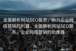 全面解析网站SEO服务，助力企业网络营销的利器，全面解析网站SEO服务，企业网络营销的助推器