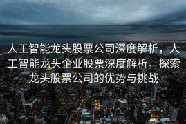 人工智能龙头股票公司深度解析，人工智能龙头企业股票深度解析，探索龙头股票公司的优势与挑战