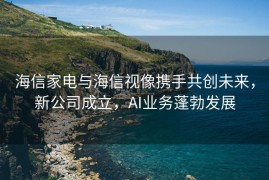 海信家电与海信视像携手共创未来，新公司成立，AI业务蓬勃发展