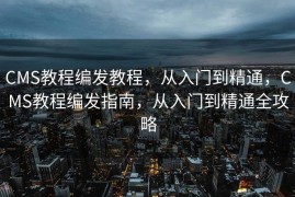 CMS教程编发教程，从入门到精通，CMS教程编发指南，从入门到精通全攻略