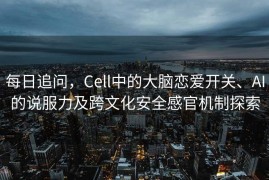 每日追问，Cell中的大脑恋爱开关、AI的说服力及跨文化安全感官机制探索
