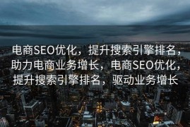 电商SEO优化，提升搜索引擎排名，助力电商业务增长，电商SEO优化，提升搜索引擎排名，驱动业务增长