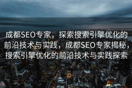成都SEO专家，探索搜索引擎优化的前沿技术与实践，成都SEO专家揭秘，搜索引擎优化的前沿技术与实践探索