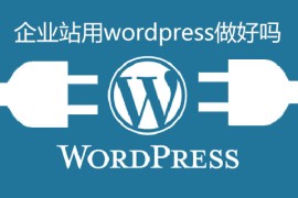 企业站用wordpress做好吗