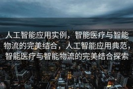 人工智能应用实例，智能医疗与智能物流的完美结合，人工智能应用典范，智能医疗与智能物流的完美结合探索