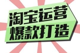 淘宝运营是做什么的