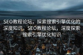 SEO教程论坛，探索搜索引擎优化的深度知识，SEO教程论坛，深度探索搜索引擎优化知识