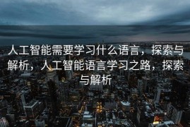 人工智能需要学习什么语言，探索与解析，人工智能语言学习之路，探索与解析