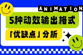 让动效又快又好落地！5种动效输出格式优缺点分析-2025最新seo资料