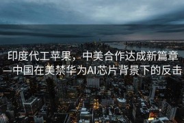 印度代工苹果，中美合作达成新篇章—中国在美禁华为AI芯片背景下的反击
