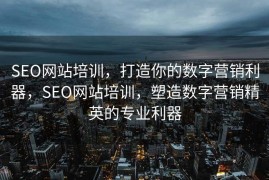 SEO网站培训，打造你的数字营销利器，SEO网站培训，塑造数字营销精英的专业利器