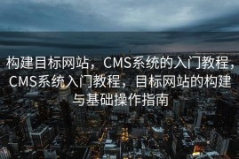 构建目标网站，CMS系统的入门教程，CMS系统入门教程，目标网站的构建与基础操作指南