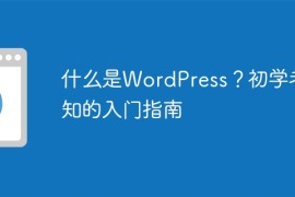 什么是WordPress？初学者必知的入门指南