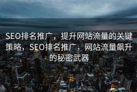 SEO排名推广，提升网站流量的关键策略，SEO排名推广，网站流量飙升的秘密武器