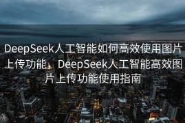 DeepSeek人工智能如何高效使用图片上传功能，DeepSeek人工智能高效图片上传功能使用指南